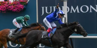 Juddmonte International Stakes