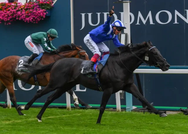 Juddmonte International Stakes