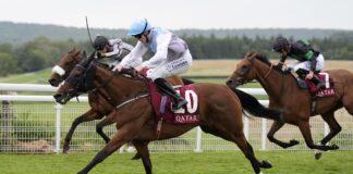 Lillie Langtry Stakes