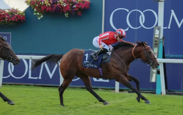 Nunthorpe Stakes