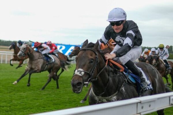 Stewards' Cup