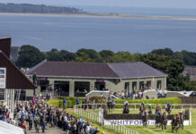 Wexford