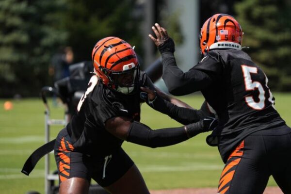 Cincinnati Bengals