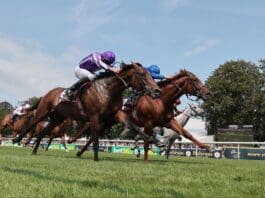 Curragh