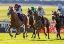 Curragh