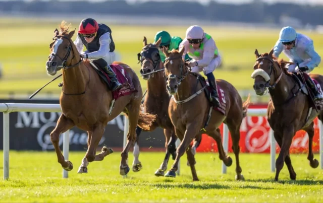 Curragh