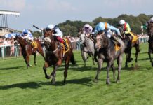 Haydock