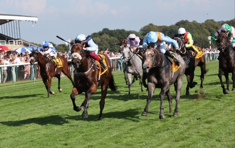 Haydock