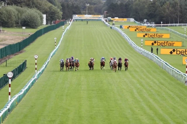 Haydock