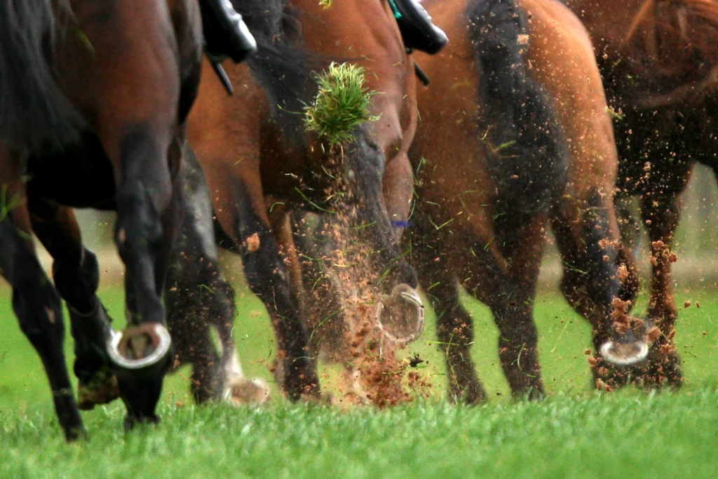 Horse Racing