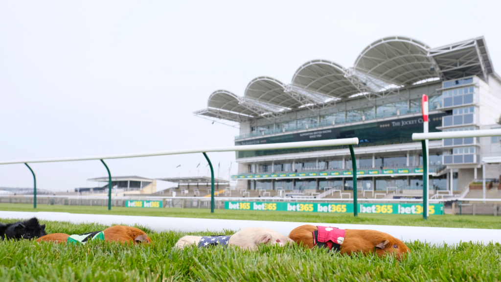 Newmarket