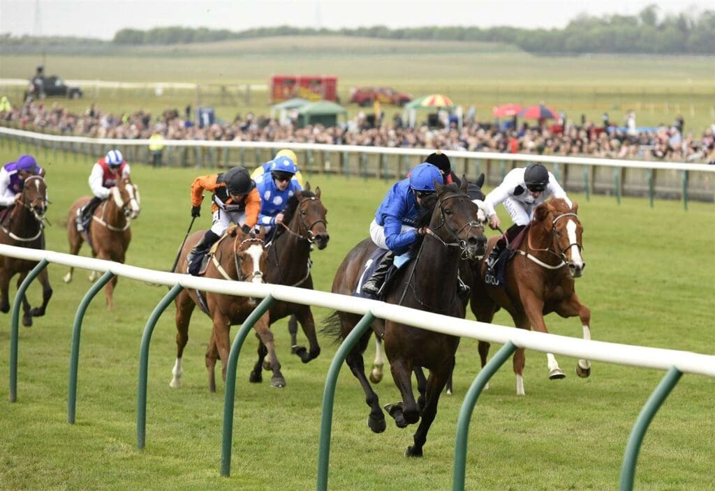 Newmarket