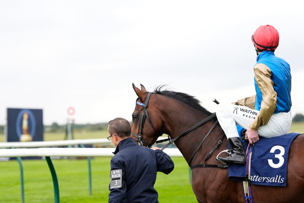 Newmarket