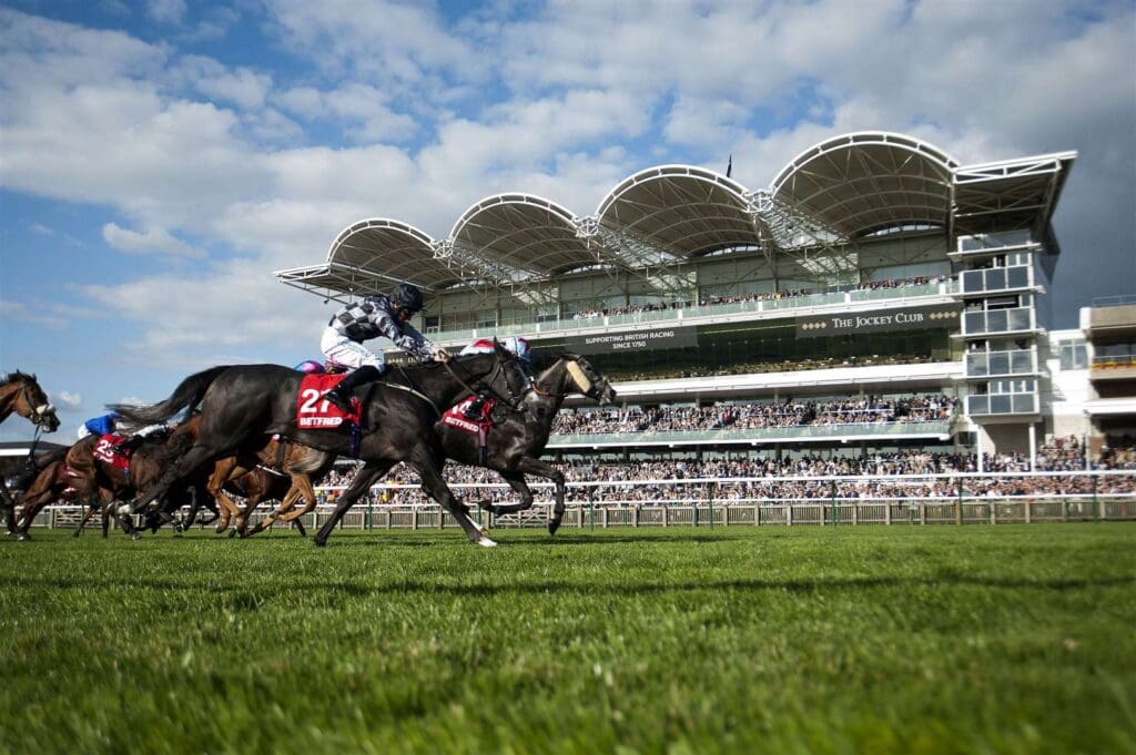 Newmarket