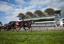Newmarket