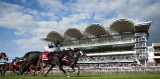 Newmarket