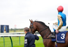 Newmarket