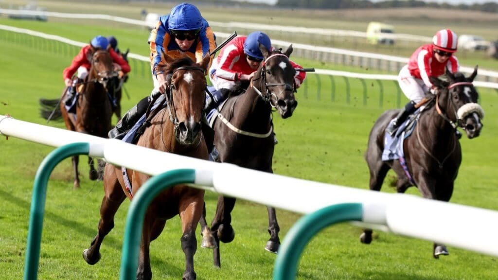 Newmarket