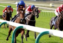 Newmarket