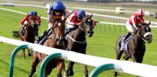 Newmarket