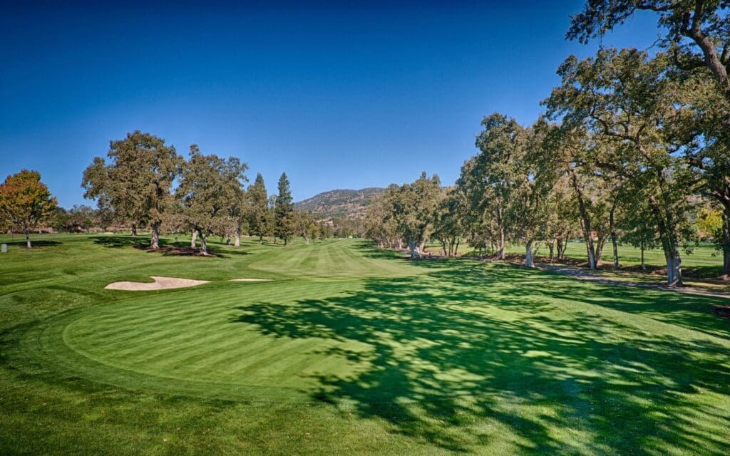 Procore Championship