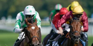Ascot