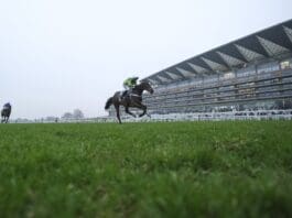Ascot