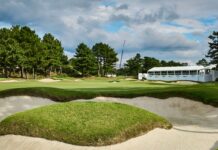 Baycurrent Classic