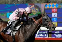 Horse Racing Tips: Breeders’ Cup Classic preview, predictions and best bets for Del Mar Breeders Cup