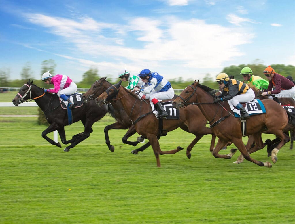 Gowran Park