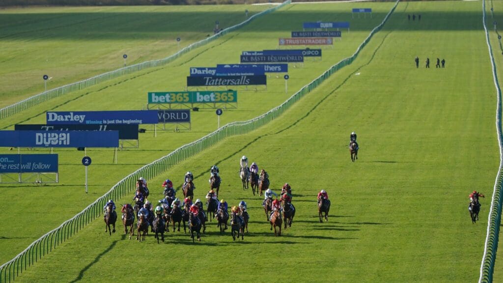 Newmarket