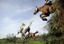 Horse Racing Tips: Grand Sefton Handicap Chase preview, predictions and best bets for Aintree Aintree