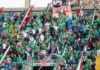 Audax Italiano vs Vasco da Gama Predictions Audax Italiano