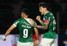 Palmeiras vs Gremio Predictions Palmeiras