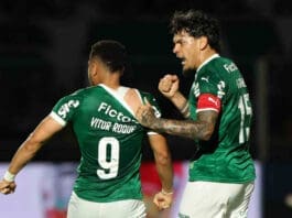 Palmeiras vs Chapecoense Predictions Palmeiras