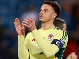 Wales vs Bosnia-Herzegovina Predictions Wales