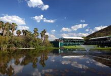 Nedbank Golf Challenge