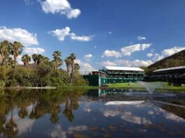 Golf Betting Tips: Nedbank Golf Challenge predictions, preview and best bets Nedbank Golf Challenge