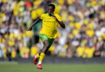 Norwich City vs Sheffield Wednesday Predictions Norwich