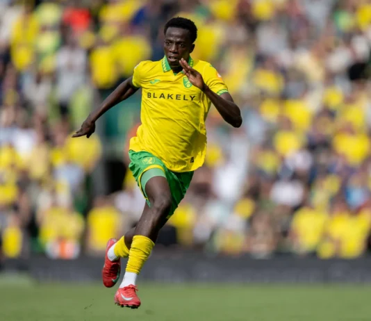Southampton vs Norwich City Predictions Norwich