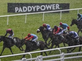 Each Way Betting Explained