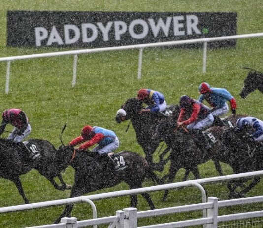 Each Way Betting Explained