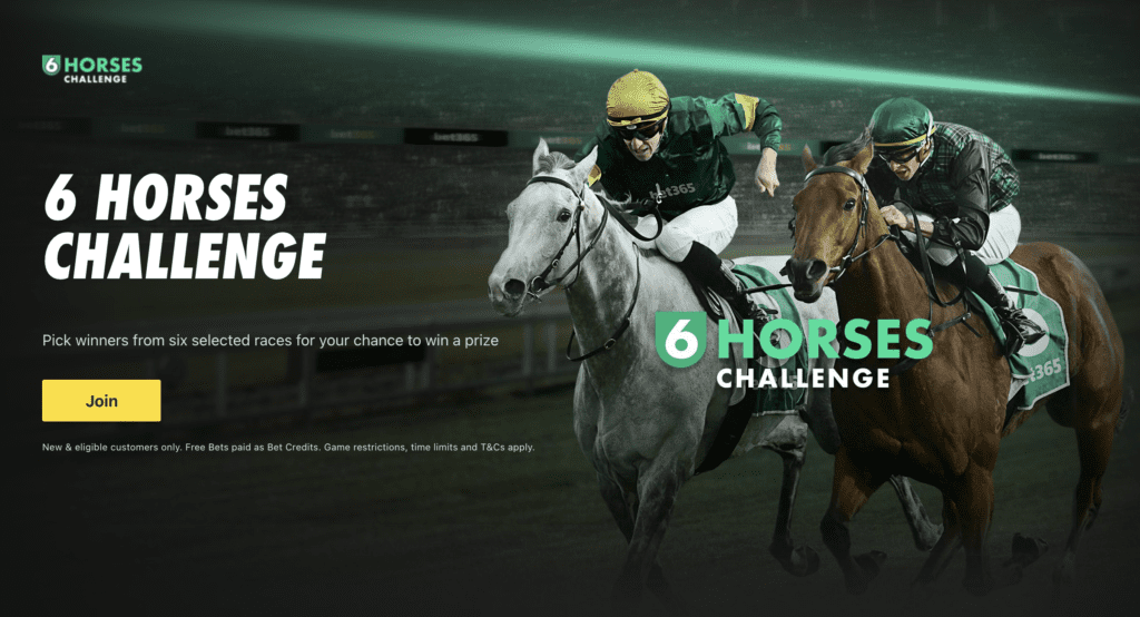 6 Horse Challenge