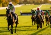 Cheltenham