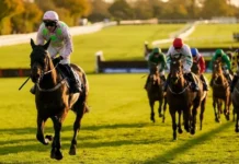Cheltenham 2026 Day 2 Offers: Best Wednesday Betting Bonuses & Free Bets Cheltenham