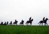 Cheltenham 2026 Day 2 Tips: The Ultimate Race-by-Race Betting Guide Cheltenham