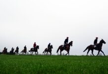 Cheltenham 2026 Day 2 Tips: The Ultimate Race-by-Race Betting Guide Cheltenham