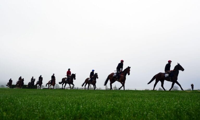 BettingTips4You.com | Free Football Betting Tips & Predictions Cheltenham