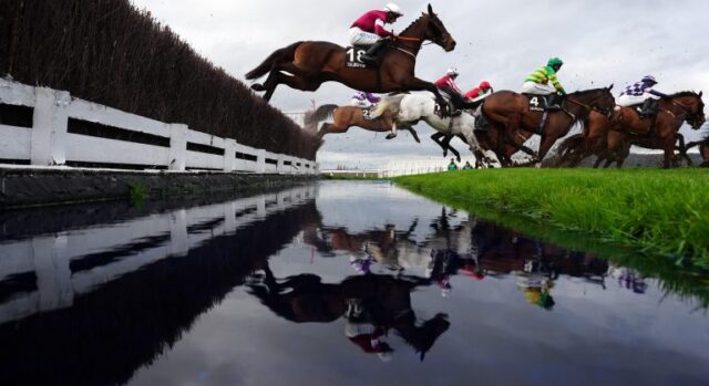 BettingTips4You.com | Free Football Betting Tips & Predictions Cheltenham