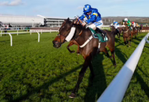 Cheltenham Festival Day 3 Free Bets & Tips 2026 Cheltenham